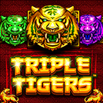 Triple Tigers